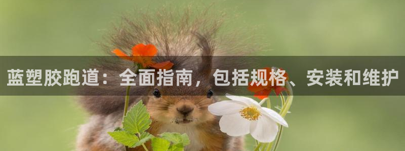 红足1世开奖预测：蓝塑胶跑道：全面指南，包括规格、安装和维护