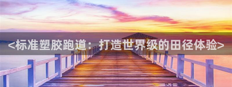 红足一丰：<标准塑胶跑道：打造世界级的田径体验>