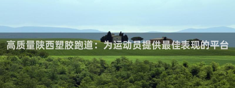 红足1世手机板：高质量陕西塑胶跑道：为运动员提供最佳表现的平台
