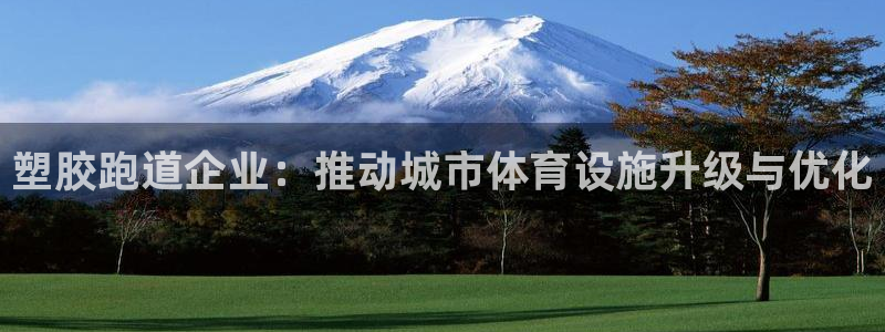 红足1一世 2站：塑胶跑道企业：推动城市体育设施升级与优化