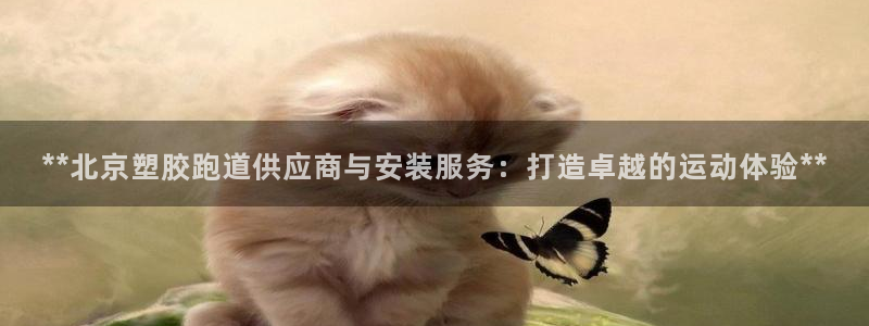 红足一1世666814足球：**北京塑胶跑道供应商与安装服务：打造卓越的运动体验**