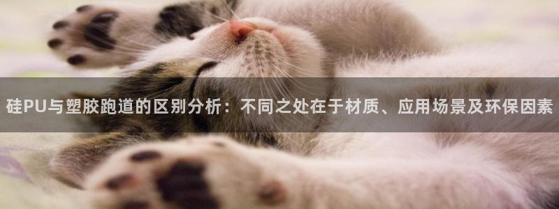 333814红·足一世比分：硅PU与塑胶跑道的区别分析：不同之处在于材质、应用场景及环保因素