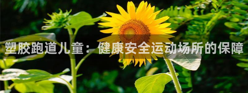 红足一1世比分网：塑胶跑道儿童：健康安全运动场所的保障