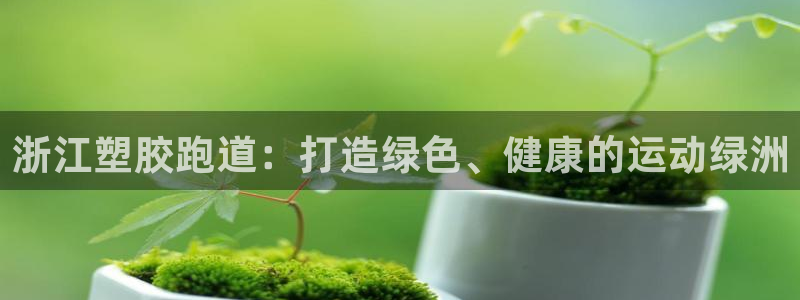 红足一1世66814新宝：浙江塑胶跑道：打造绿色、健康的运动绿洲