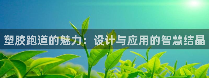 77814红足1世：塑胶跑道的魅力：设计与应用的智慧结晶