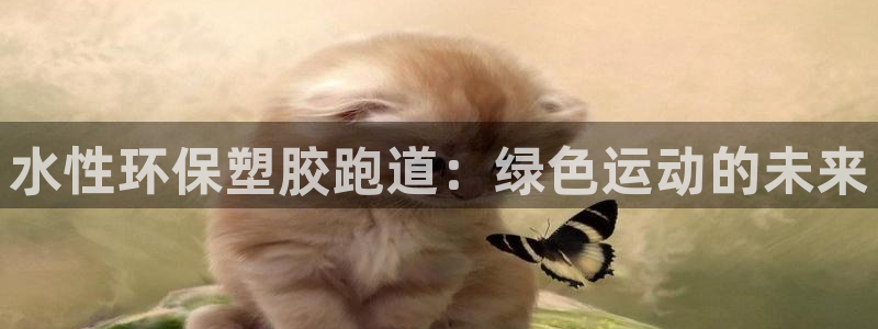 红足1世足球比分：水性环保塑胶跑道：绿色运动的未来
