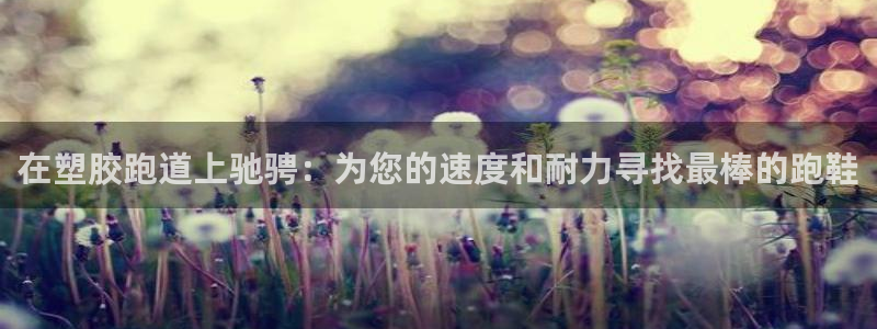 红足一1世平台：在塑胶跑道上驰骋：为您的速度和耐力寻找最棒的跑鞋