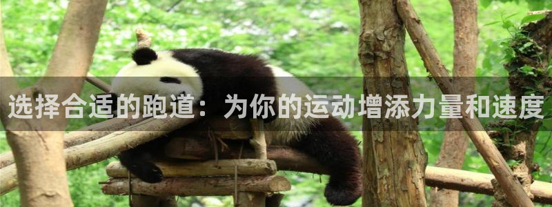 红足一1世手机开奖：选择合适的跑道：为你的运动增添力量和速度