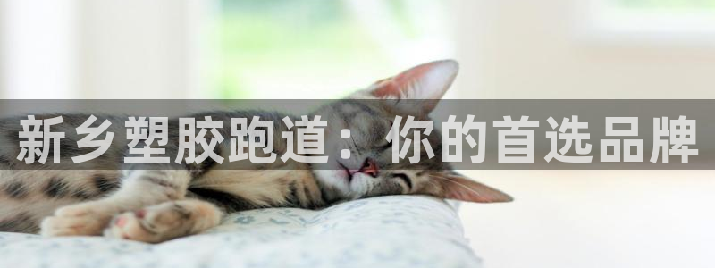 红足1世1站：新乡塑胶跑道：你的首选品牌