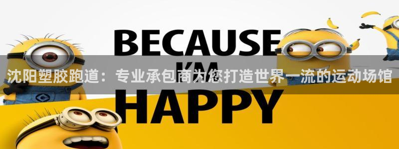 333814红·足一世比分：沈阳塑胶跑道：专业承包商为您打造世界一流的运动场馆