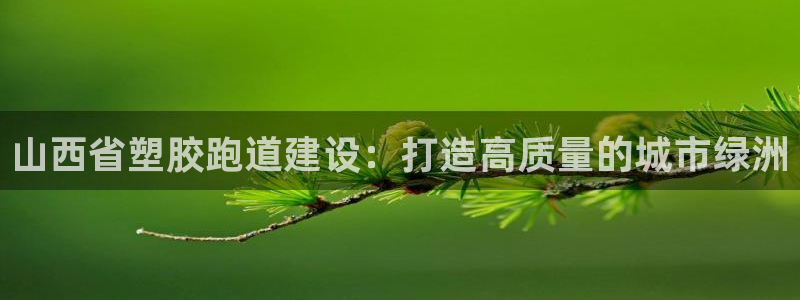 66814红足一66814世：山西省塑胶跑道建设：打造高质量的城市绿洲