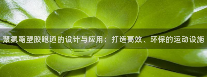 777814红·足一世：聚氨酯塑胶跑道的设计与应用：打造高效、环保的运动设施