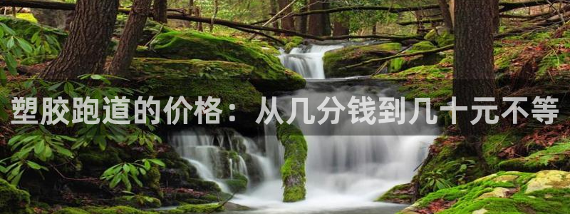 55814红足1世：塑胶跑道的价格：从几分钱到几十元不等