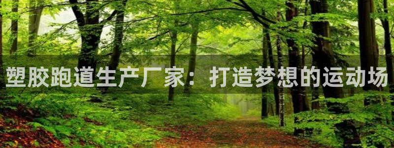 红足i世足球手机网：塑胶跑道生产厂家：打造梦想的运动场