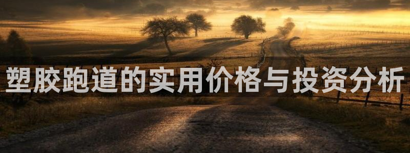 红足一1世666814足球：塑胶跑道的实用价格与投资分析
