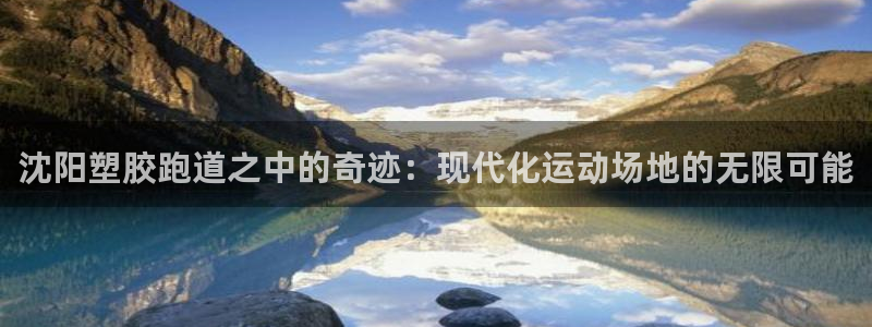 红足一1世手机版新皇冠：沈阳塑胶跑道之中的奇迹：现代化运动场地的无限可能