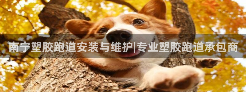 红足1世手足球比分：南宁塑胶跑道安装与维护|专业塑胶跑道承包商