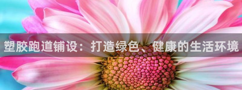 百度红足一1是干什么的：塑胶跑道铺设：打造绿色、健康的生活环境