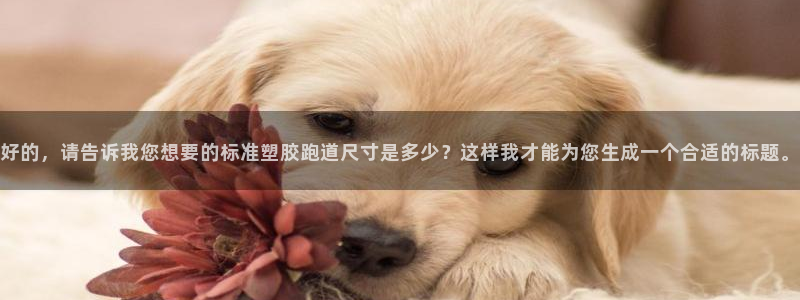 红足一1世皇冠地址：好的，请告诉我您想要的标准塑胶跑道尺寸是多少？这样我才能为您生成一个合适的标题。