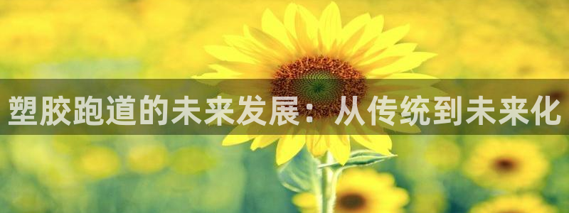 红足1世足球比分预测：塑胶跑道的未来发展：从传统到未来化