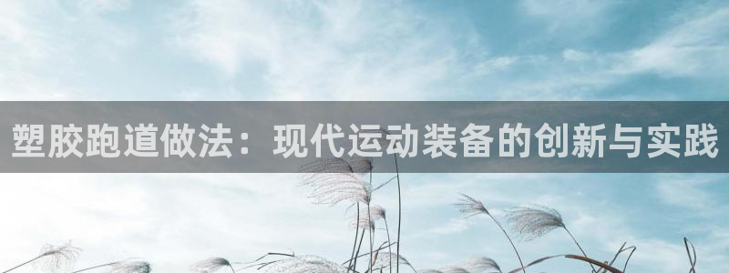 红足1世手足球比分：塑胶跑道做法：现代运动装备的创新与实践