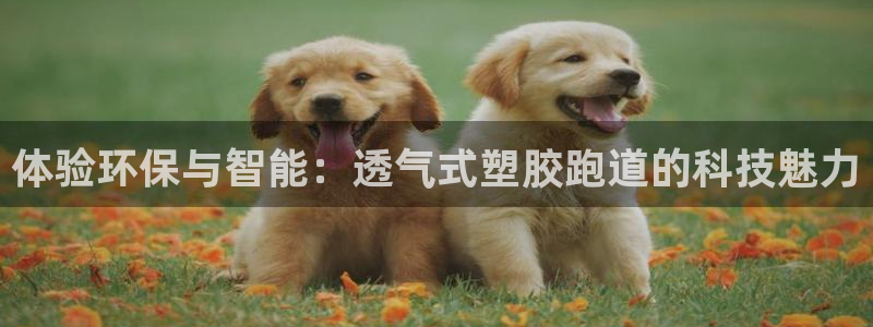 红足一1世77814：体验环保与智能：透气式塑胶跑道的科技魅力