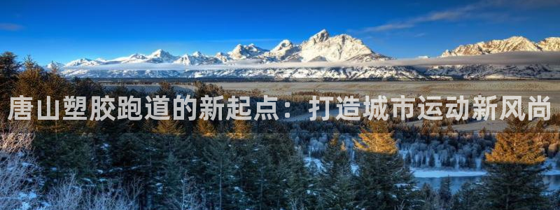 百度红足一1使用说明：唐山塑胶跑道的新起点：打造城市运动新风尚