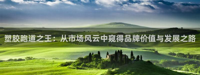 红足一1世开奖记录：塑胶跑道之王：从市场风云中窥得品牌价值与发展之路