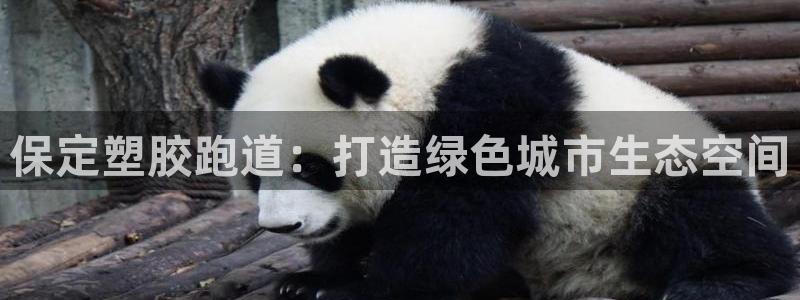 红足1世官网：保定塑胶跑道：打造绿色城市生态空间