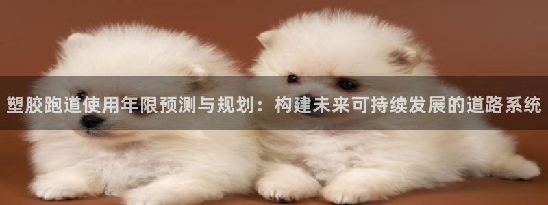 红足一一世：塑胶跑道使用年限预测与规划：构建未来可持续发展的道路系统