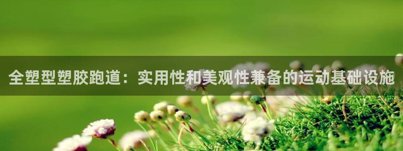 红足一1世开奖记录：全塑型塑胶跑道：实用性和美观性兼备的运动基础设施
