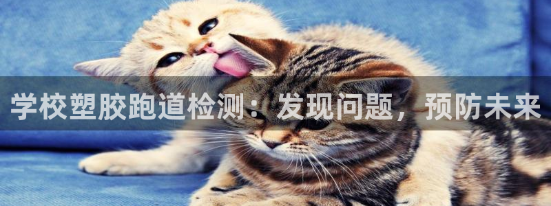 红足一1世77814：学校塑胶跑道检测：发现问题，预防未来