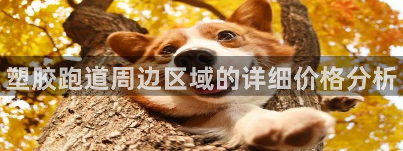 红足一一世足球网开奖记录：塑胶跑道周边区域的详细价格分析