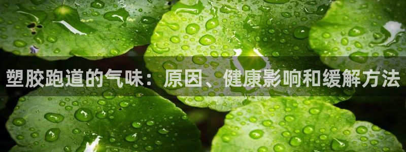 66814红足：塑胶跑道的气味：原因、健康影响和缓解方法