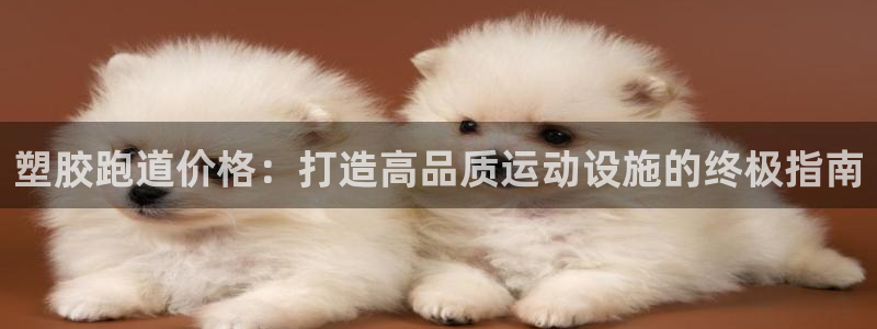 红足一1世66814新宝:塑胶跑道价格:打造高品质运动设施的终极指南