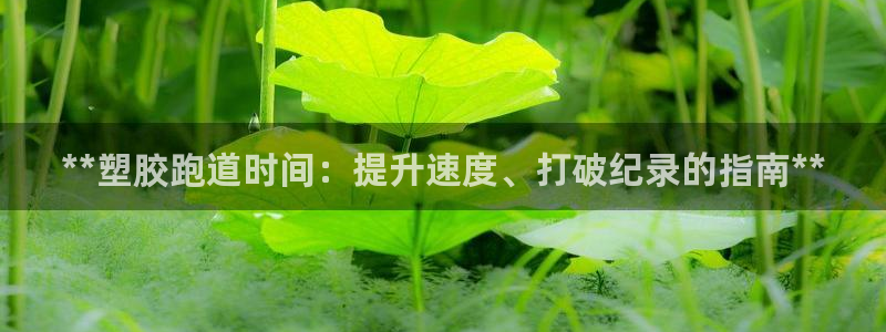 红足一1世:**塑胶跑道时间:提升速度、打破纪录的指南**