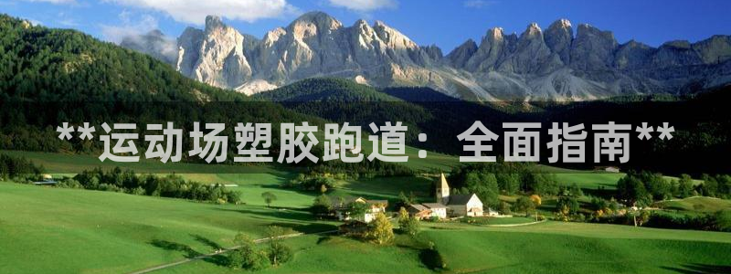 红足一1世官网:**运动场塑胶跑道:全面指南**