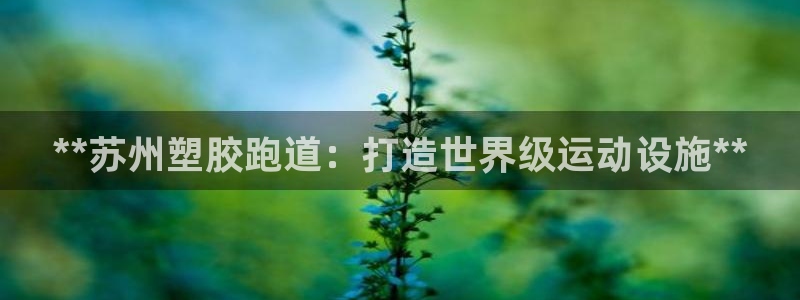 红足1世足球：**苏州塑胶跑道：打造世界级运动设施**