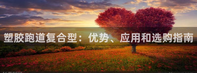 66814红足：塑胶跑道复合型：优势、应用和选购指南