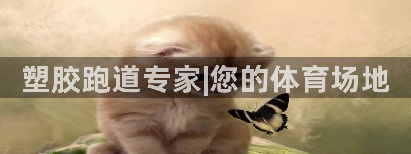 红足一1世皇冠登录：塑胶跑道专家|您的体育场地