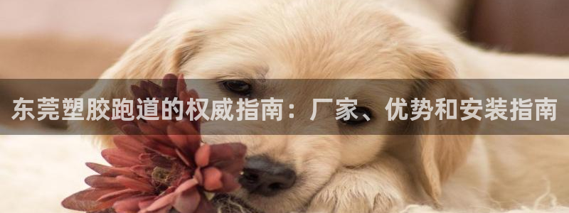 红足 世足球手机网：东莞塑胶跑道的权威指南：厂家、优势和安装指南