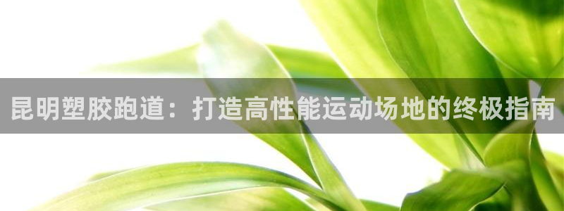 红足一1世66814：昆明塑胶跑道：打造高性能运动场地的终极指南