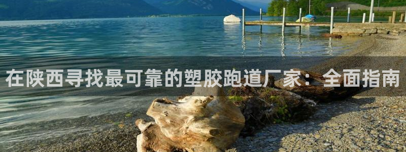 红足一一世足球网开奖记录：在陕西寻找最可靠的塑胶跑道厂家：全面指南