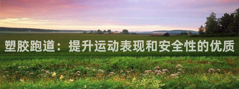 红足一丰:塑胶跑道:提升运动表现和安全性的优质