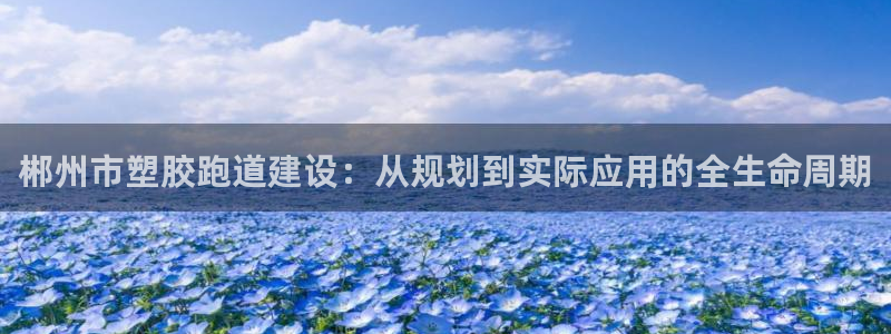 44814红足:郴州市塑胶跑道建设:从规划到实际应用的全生命周期
