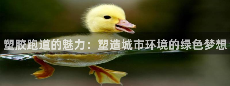 红足1世足球比分预测：塑胶跑道的魅力：塑造城市环境的绿色梦想