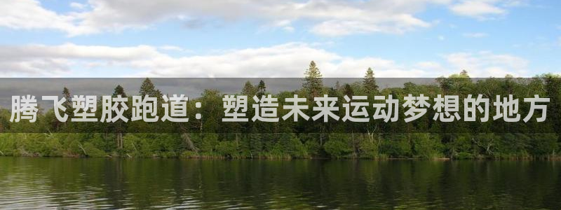 333814红·足一世比分：腾飞塑胶跑道：塑造未来运动梦想的地方