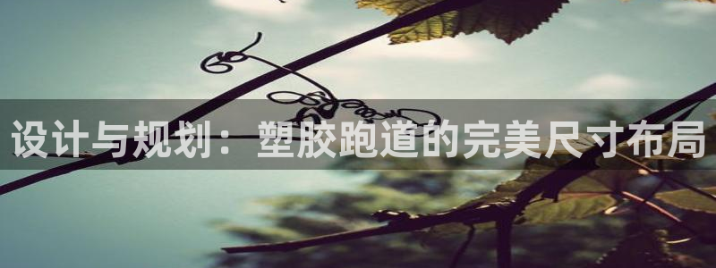 红足1世足球网址：设计与规划：塑胶跑道的完美尺寸布局