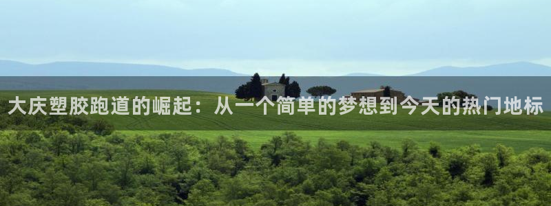 百度红足一1是什么样子的：大庆塑胶跑道的崛起：从一个简单的梦想到今天的热门地标