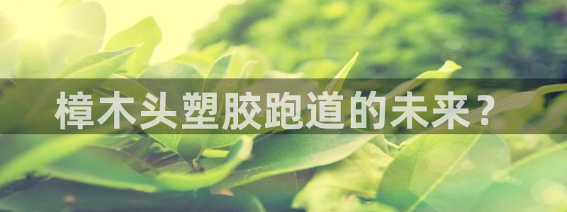 百度红足一1是干什么的：樟木头塑胶跑道的未来？